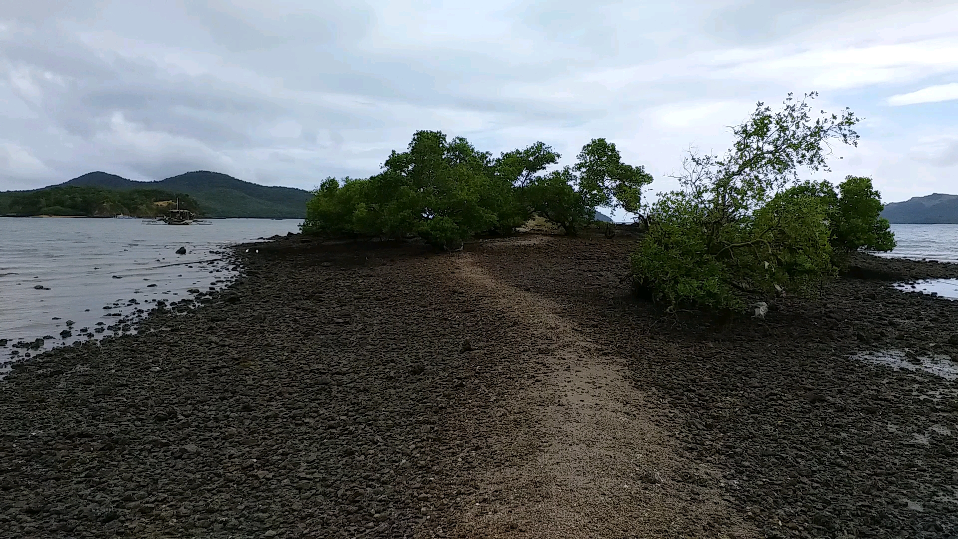 海邊落潮見聞