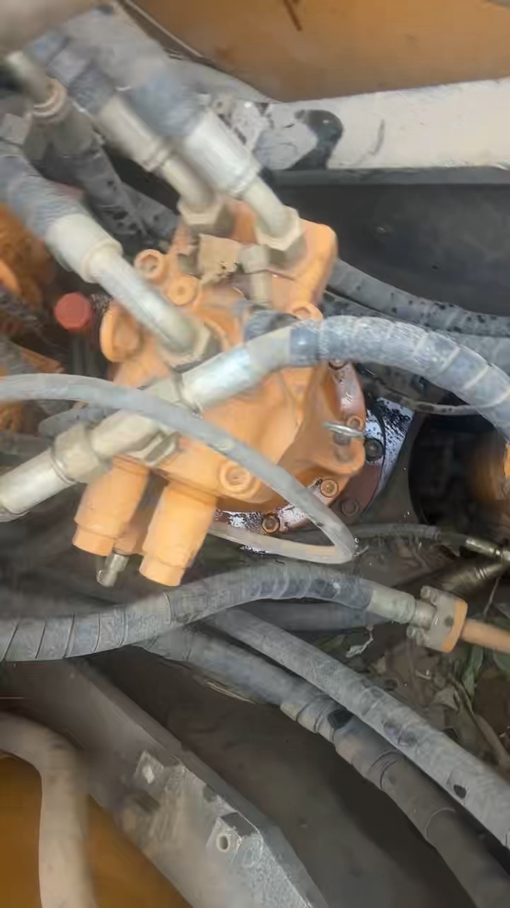 发布了一条动态