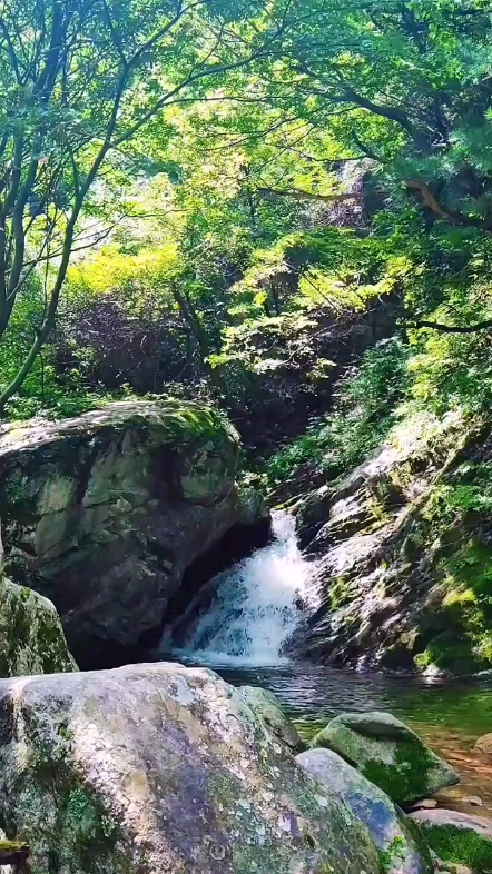 原生態(tài)山野