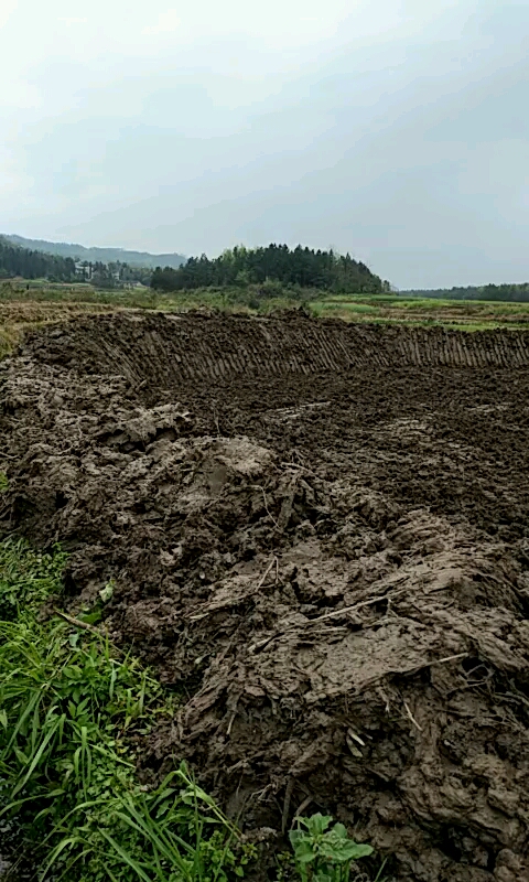 挖魚(yú)塘