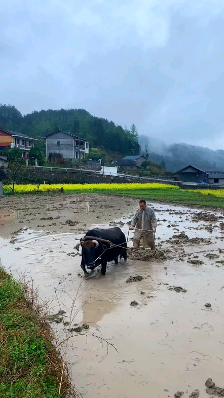 美好田園