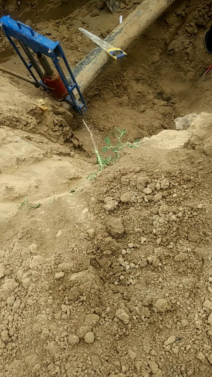 哈哈