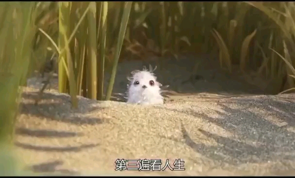 人生就是努力學(xué)習(xí)