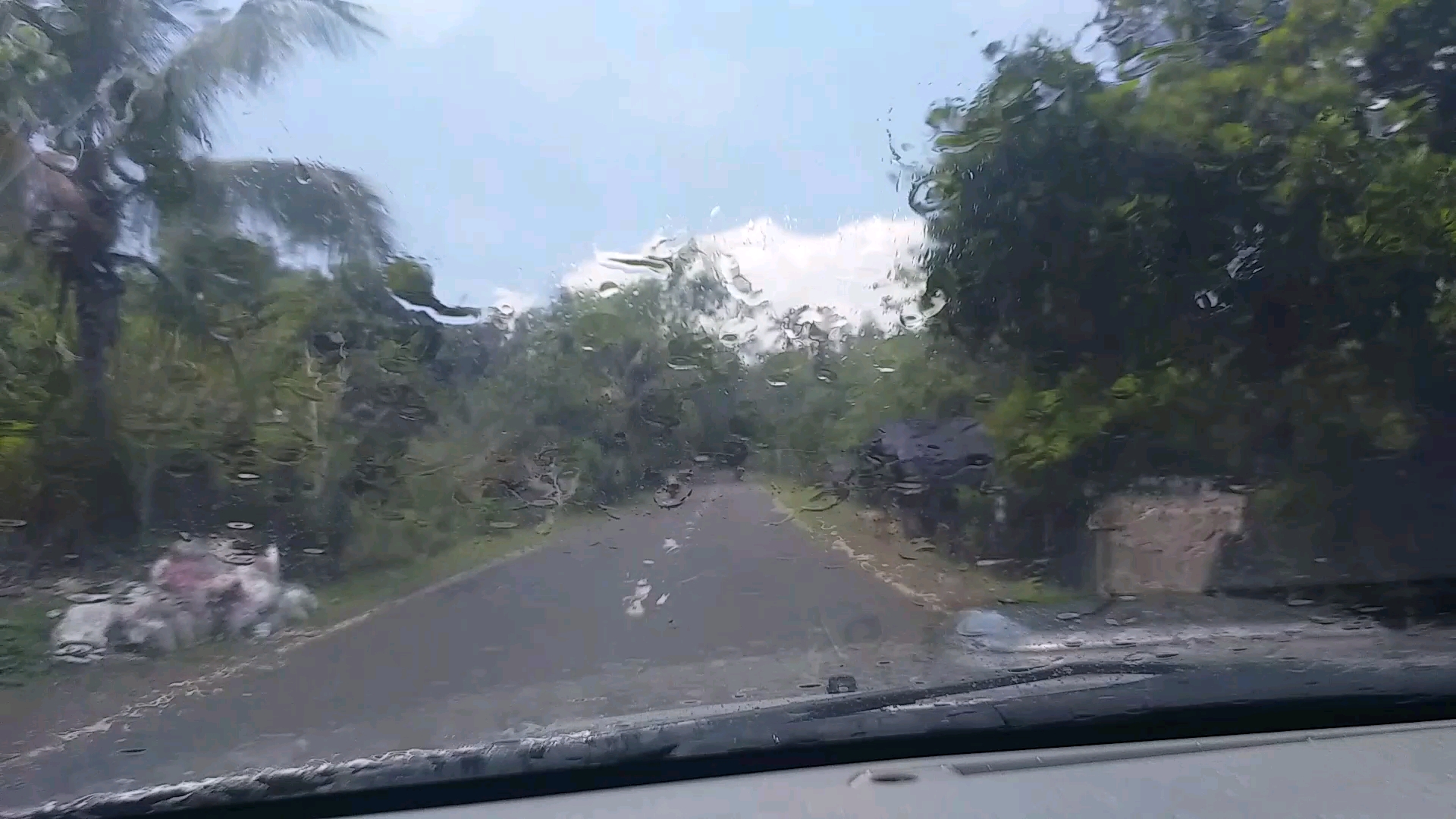 太陽雨[表情]