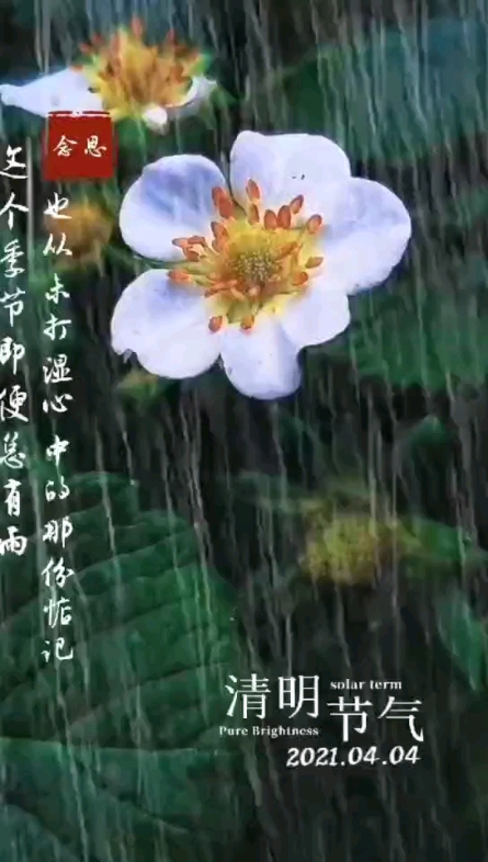 清明時節(jié)雨分分