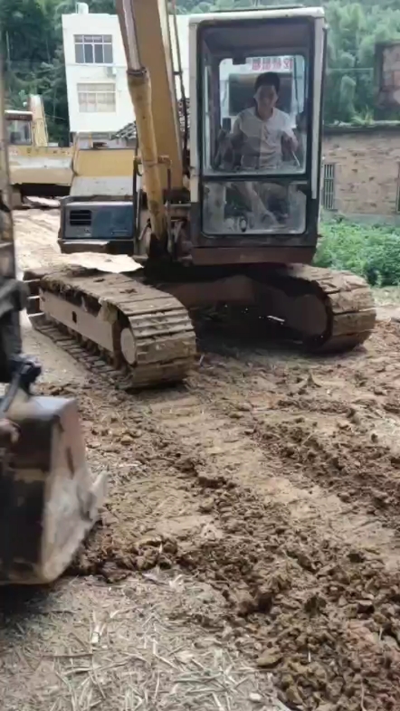 你见过这么猛的老水牛吗？😍😍😍