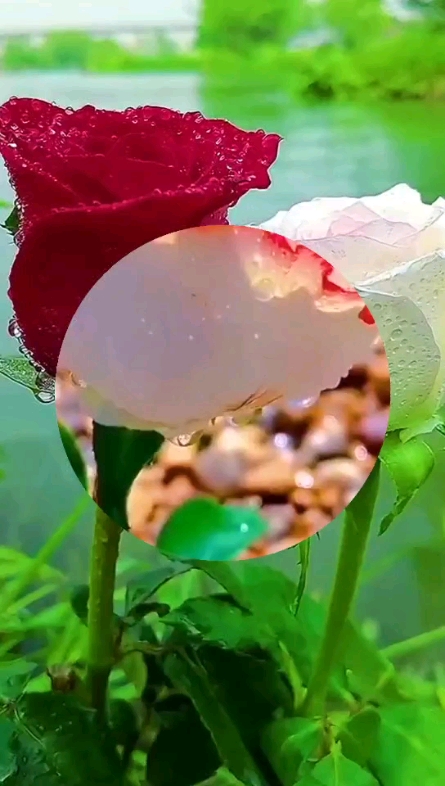 為了美好的明天，加油