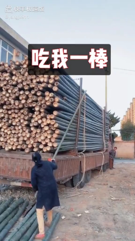 每日一帖