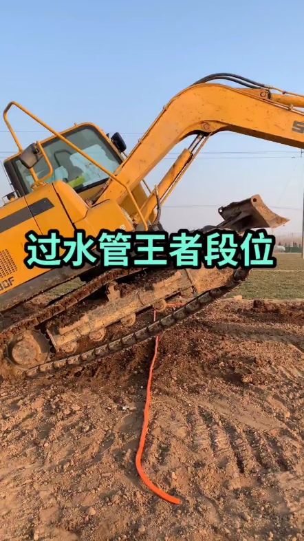 每日一帖