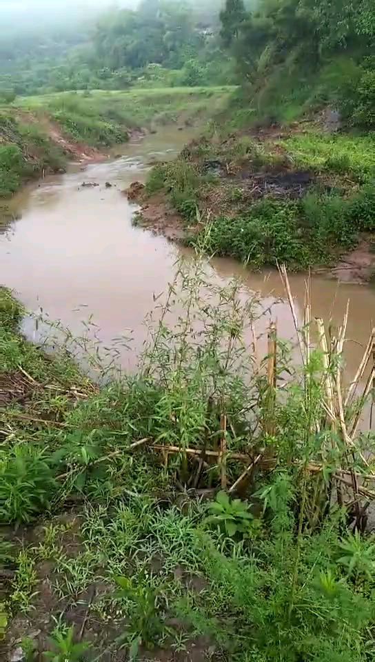 雨季來臨，兄弟們注意安全！-帖子圖片