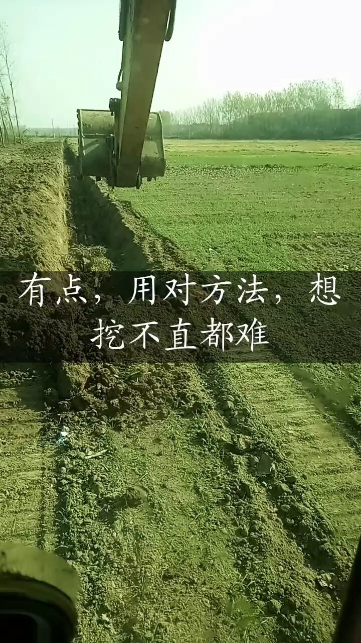 每日一帖