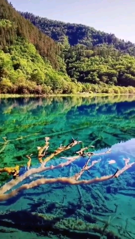 好山好水好風(fēng)光