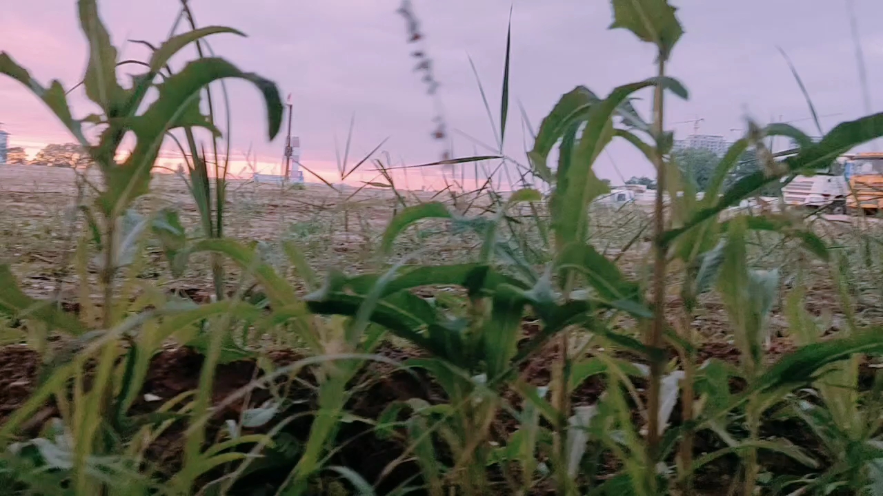 【視頻大賽】工地上的風(fēng)景，最美不過