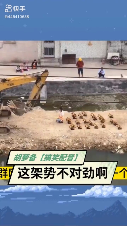 每日发帖