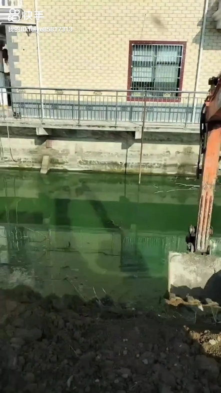 言不由衷