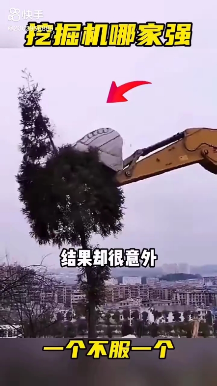 每日發(fā)帖