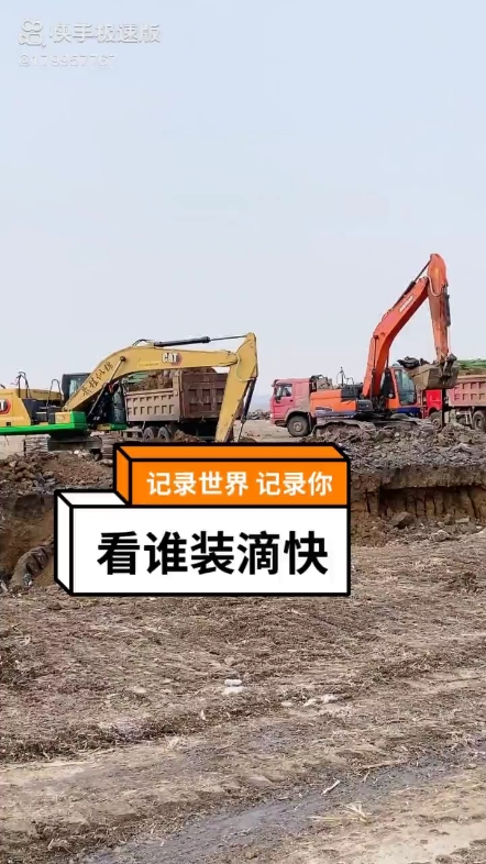每日發(fā)帖