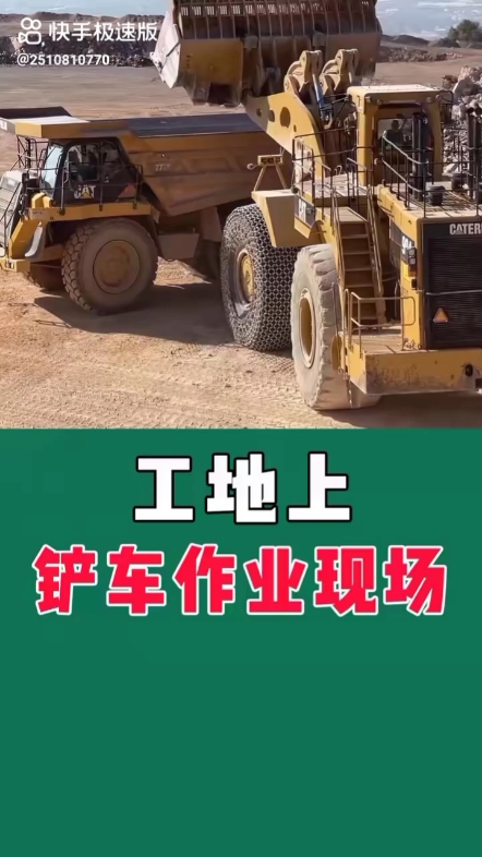 每日发帖
