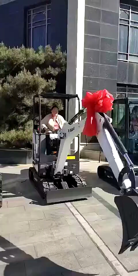 市場不多見的山貓