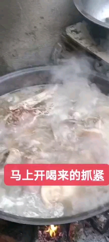來(lái)喝酒了
