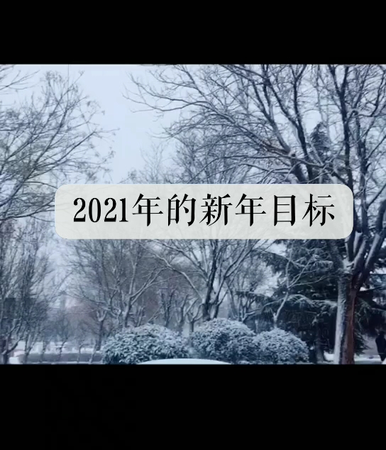 一起來講講2021年的目標(biāo)！我先來?。?！