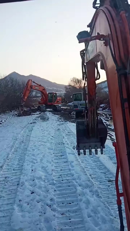 每日一帖