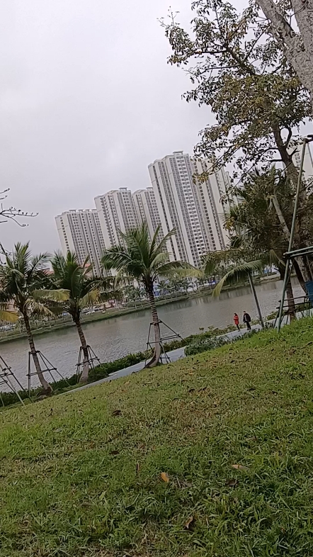 老铁们