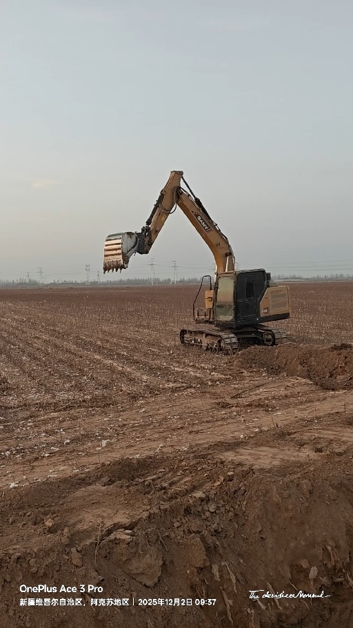 发布了一条动态