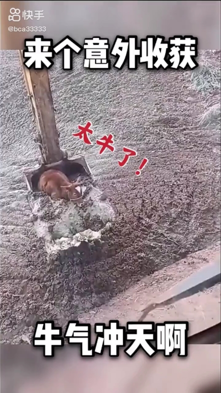 每日發(fā)帖