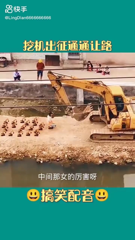 每日发帖