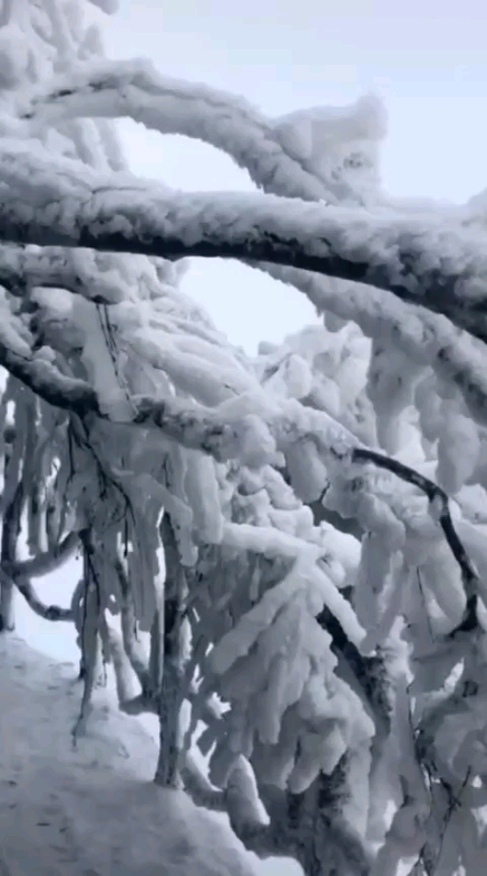 好美的冰雪世界