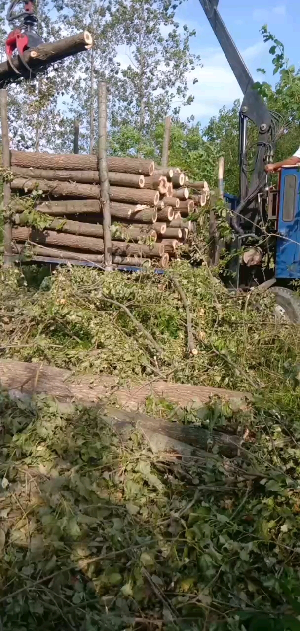 廣西桂林四不像隨車抓山間作業(yè)