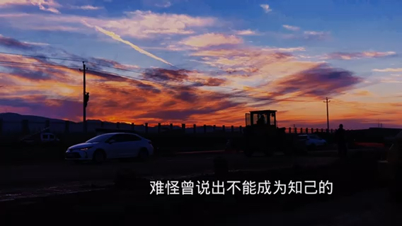 这几天天气真好