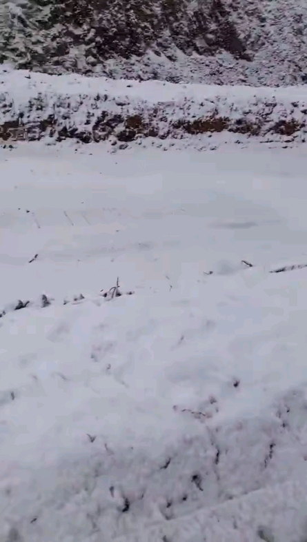 下雪了