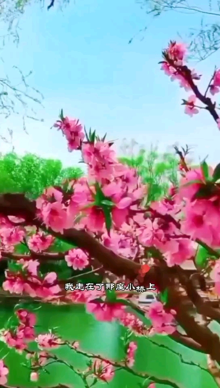 桃花源漂流