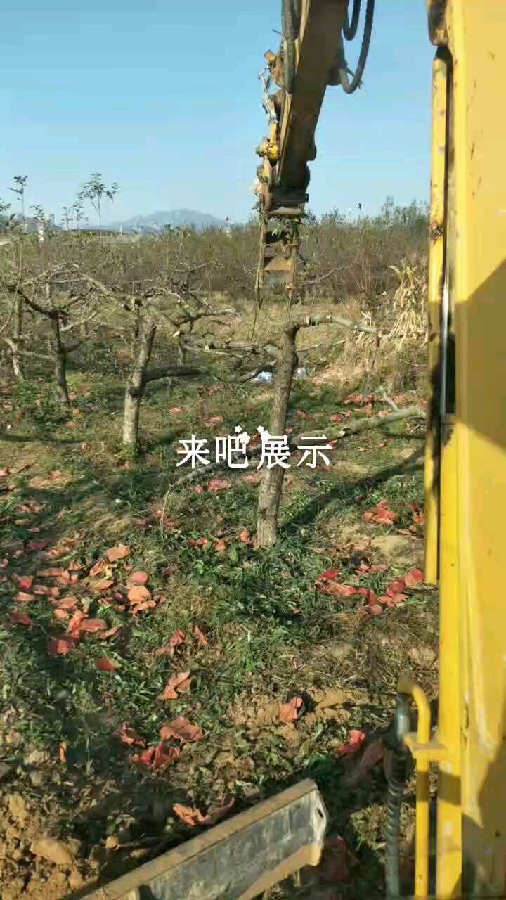 三塊兩塊