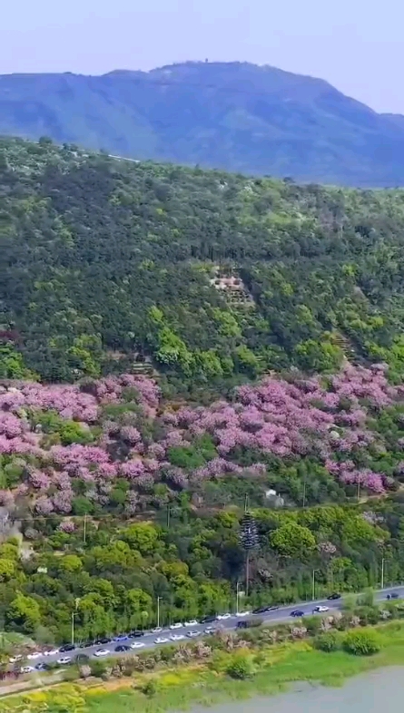 美好租國