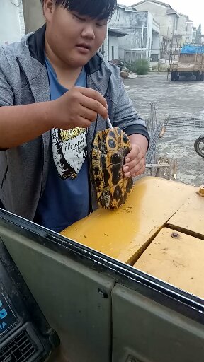 逗逼徒弟給烏龜抽煙，