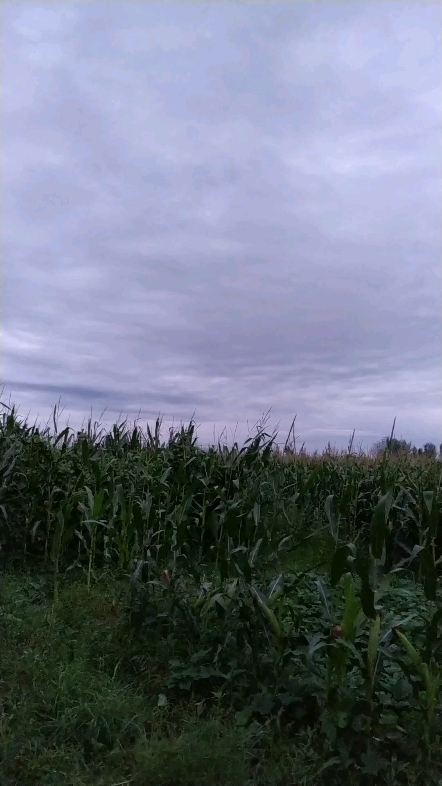 雨后的天空