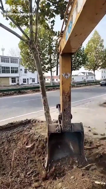 自强不息