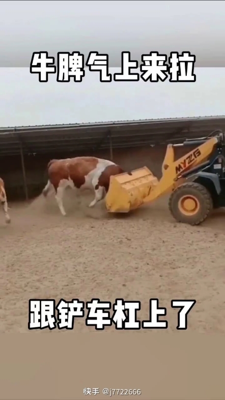 每日一帖
