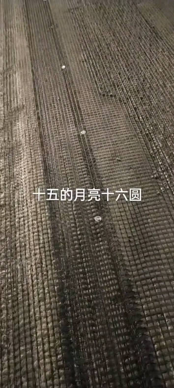 園月夜班