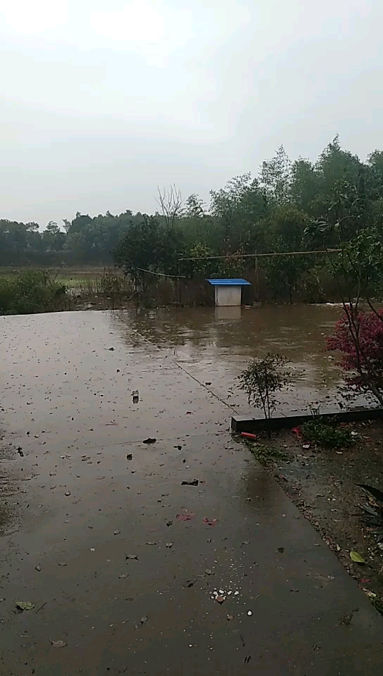 天天下雨，大家都開工了嗎？