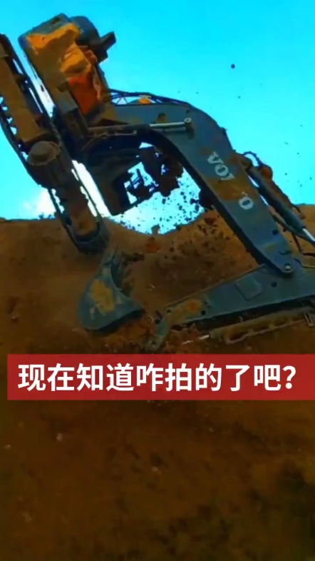 每日一帖