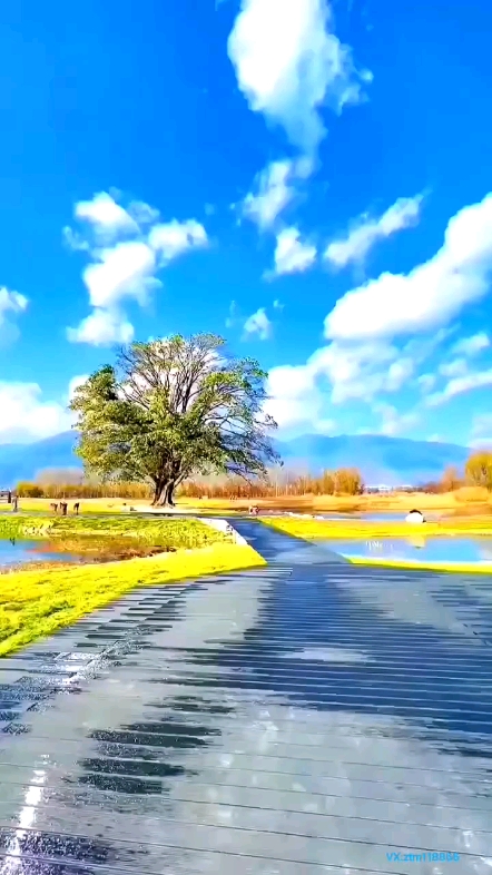 綠水青山