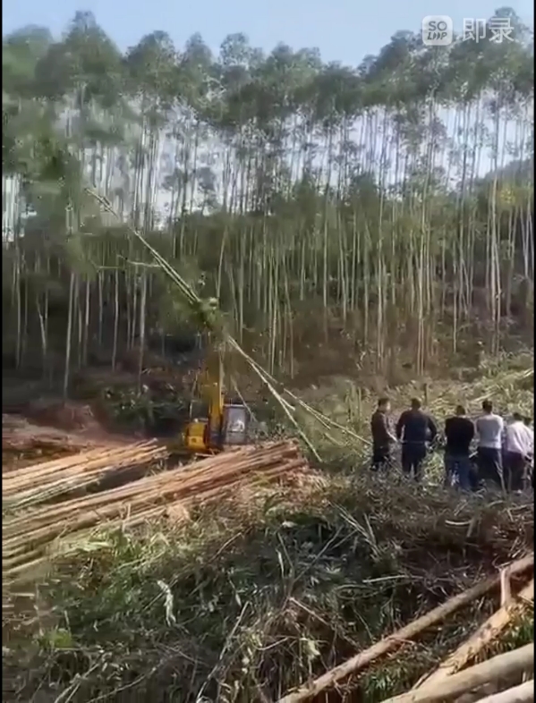 拉山机快速伸缩臂