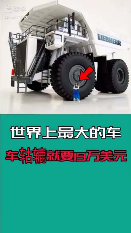 每日發(fā)帖