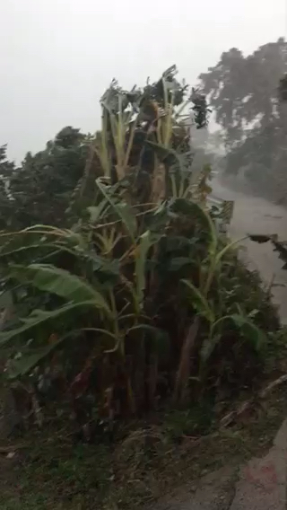 讓暴風(fēng)雨來得更猛烈些吧。