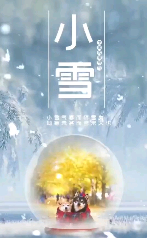 小雪