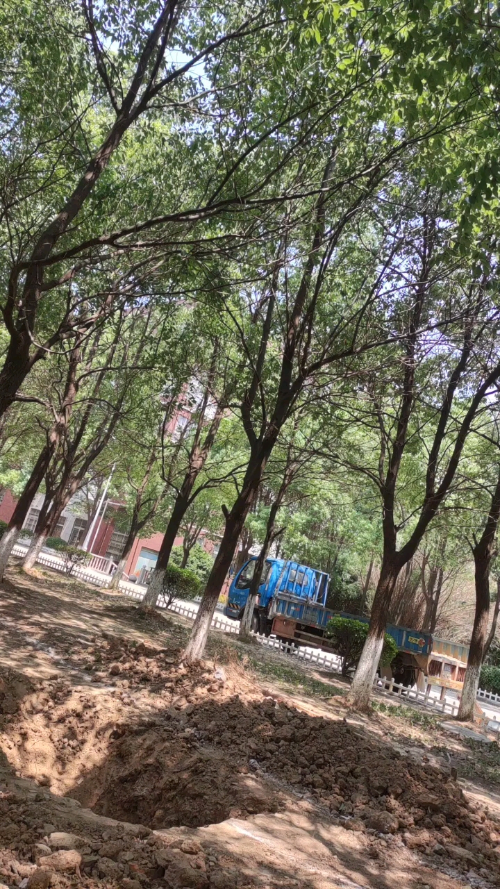 干活就打针